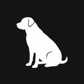 Labrador Decal — Stickatude white car-window decal
