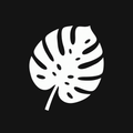 Monstera Leaf Decal — Stickatude white car-window decal